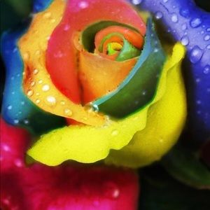 Meet your Posher, Jay